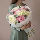 IMG_12212.webp
