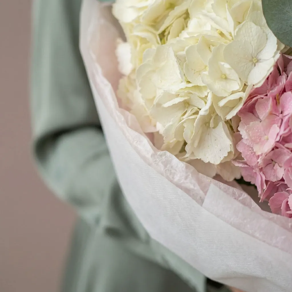 IMG_12211.webp
