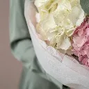 IMG_12211.webp