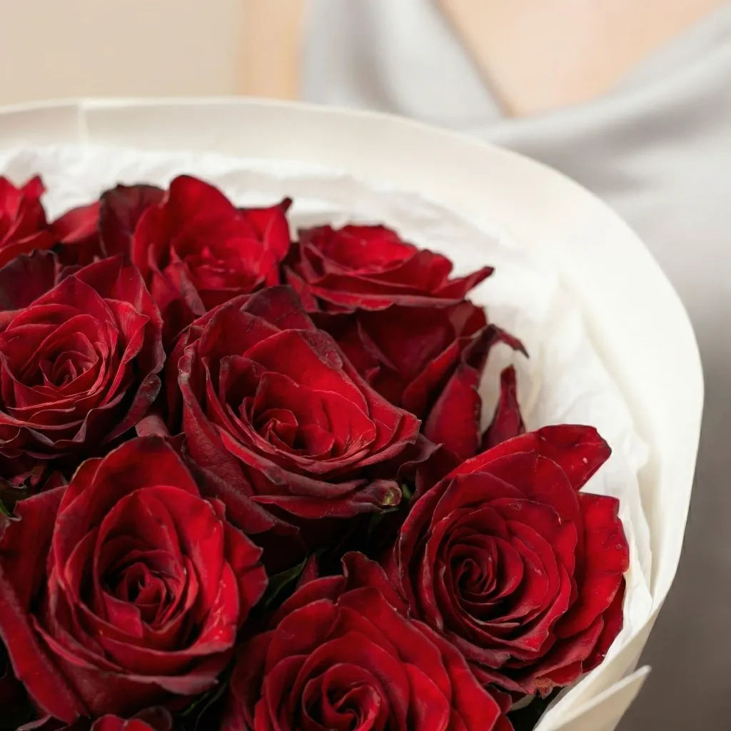 IMG_12962.webp
