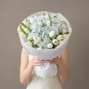 IMG-247224.webp