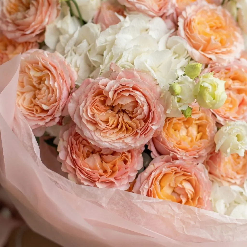 IMG-233271.webp