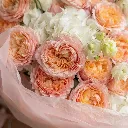 IMG-233271.webp