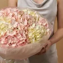 IMG_95901.webp