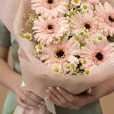 IMG_1393.webp