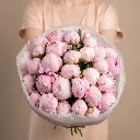 IMG314521.webp