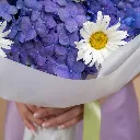 IMG1254572.webp