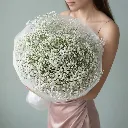 IMG_41003.webp