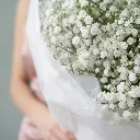 IMG_41001.webp