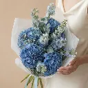 IMG_56552.webp