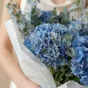 IMG_56554.webp
