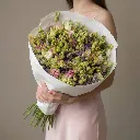 IMG_50029.webp